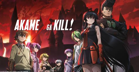 Watch Akame ga Kill! Streaming Online 